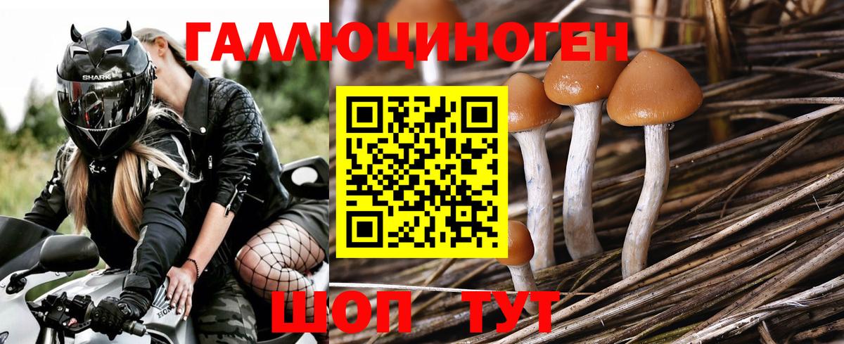 Псилоцибиновые грибы Magic Shrooms  Псилоцибиновые грибы Psilocybe  Бахчисарай  что такое   Вход с VPN 