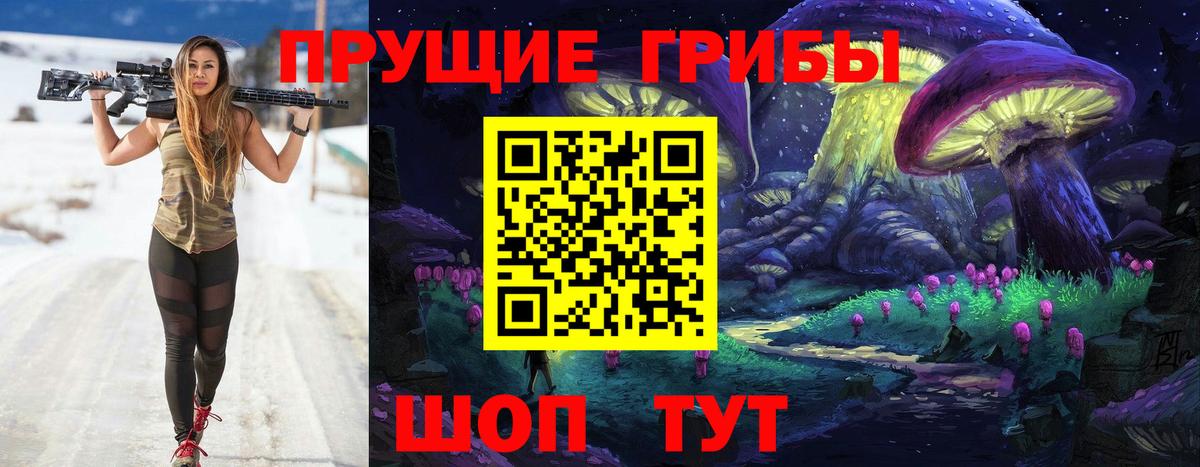 Псилоцибиновые грибы Cubensis Бахчисарай